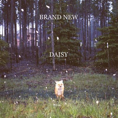 Brand New: Daisy Brand New: Daisy