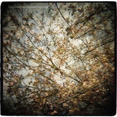 Horse Feathers: Thistled Spring Horse Feathers: Thistled Spring