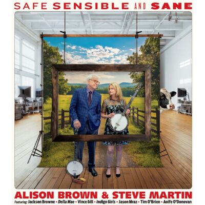 Brown Alison & Steve Martin: Safe, Sensible... Brown Alison & Steve Martin: Safe, Sensible...