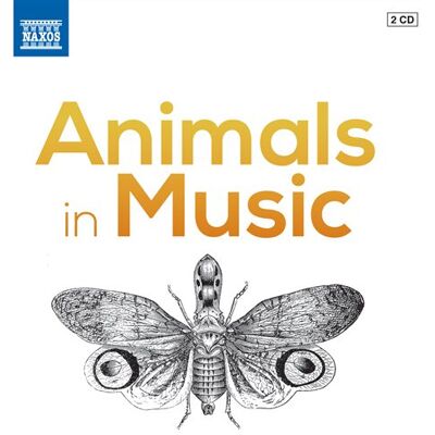Animals In Music Animals In Music