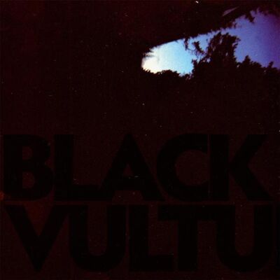Norgren, Daniel: Black Vultures (10") Norgren, Daniel: Black Vultures (10")