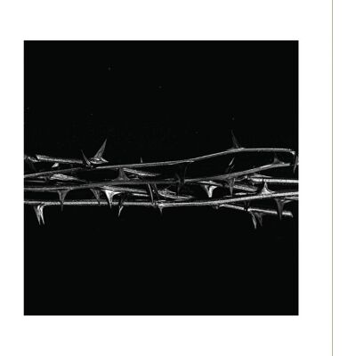 Amenra: De Doorn Amenra: De Doorn