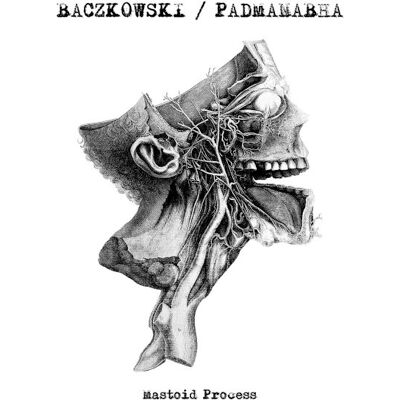 Baczkowski / Padmanabha: Mastoid Process Baczkowski / Padmanabha: Mastoid Process