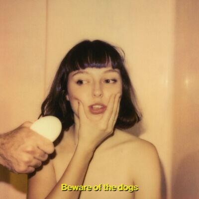 Donnelly Stella: Beware Of The Dogs Donnelly Stella: Beware Of The Dogs