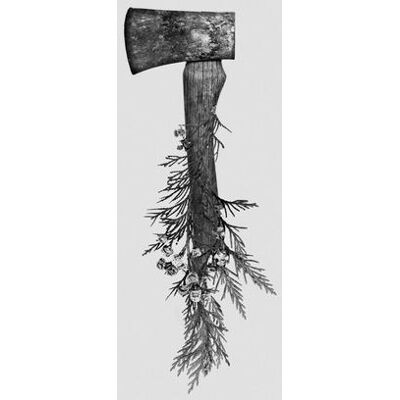 Jarboe: Split Jarboe: Split
