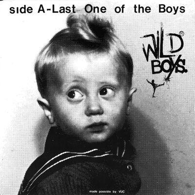 Wild Boys: Wild Boys - Last One of the Boys Wild Boys: Wild Boys - Last One of the Boys