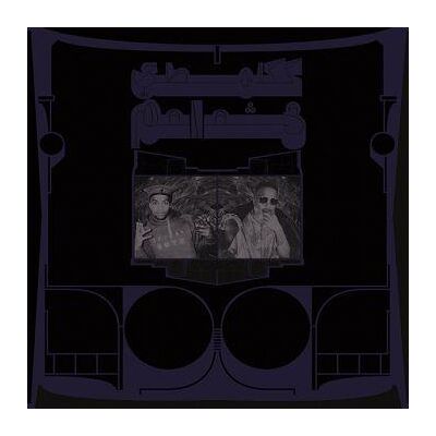 Shabazz Palaces: Exotic Birds of Prey (White) Shabazz Palaces: Exotic Birds of Prey (White)