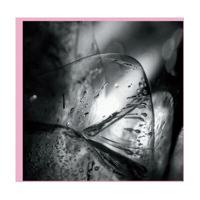 Loscil: Clara Loscil: Clara