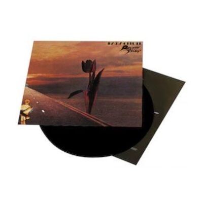 Pretty Things The: Parachute (Vinyl Lp) Pretty Things The: Parachute (Vinyl Lp)