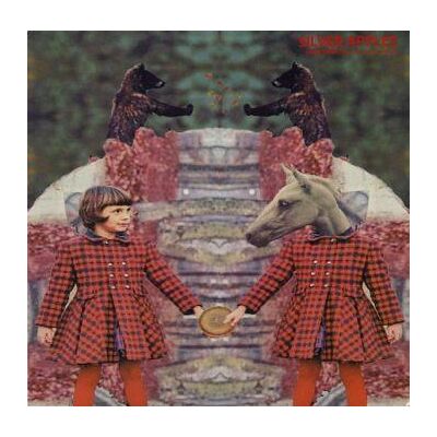 Silver Apples: Selections From the Early Sess... Silver Apples: Selections From the Early Sess...