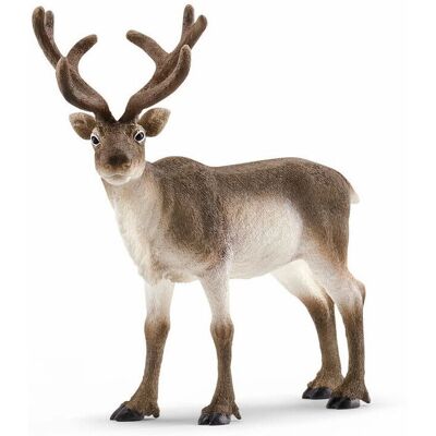 Schleich - Wild Life - Reindeer Schleich - Wild Life - Reindeer
