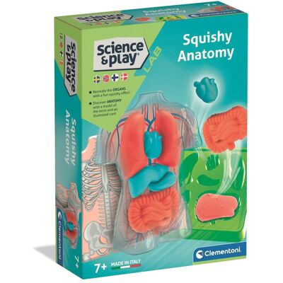 Clementoni - Mini Squishy Organs Clementoni - Mini Squishy Organs