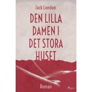 Den Lilla Damen I Det Stora Huset