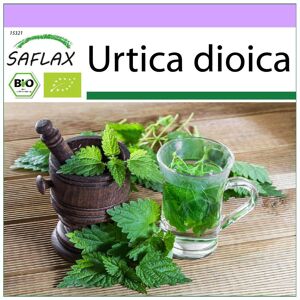 SAFLAX - Organic - Nettle - 2000 seeds - Urtica dioica