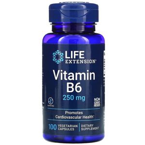 Life Extension Vitamin B6 250 Mg - Kosttillskott Life Extension Vitamin B6 250 Mg - Kosttillskott