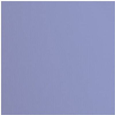 Creative Florence cardstock papper, lila, 216 gram/m², kvadratisk, 30,5 x 30,5 cm, 20 stycken, konsistens, för scrapbooking, korttillverkning, stansning och andra papperslådor Creative Florence cardstock papper, lila, 216 gram/m², kvadratisk, 30,5 x 30,5 cm, 20 stycken, konsistens, för scrapbooking, korttillverkning, stansning och andra papperslådor
