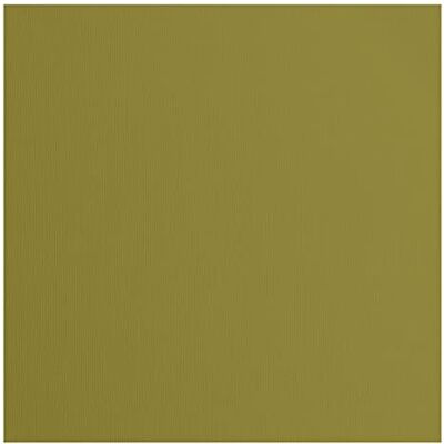 Creative Florence cardstock papper, grön, 216 gram/m², kvadratisk, 30,5 x 30,5 cm, 20 stycken, konsistens, för scrapbooking, korttillverkning, stansning och andra papperslådor Creative Florence cardstock papper, grön, 216 gram/m², kvadratisk, 30,5 x 30,5 cm, 20 stycken, konsistens, för scrapbooking, korttillverkning, stansning och andra papperslådor