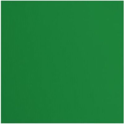 Creative Florens Cardstock texturerad – färgade korttillbehör 30 x 30 cm – grön – 20 ark – färgat papper för scrapbooking, korttillverkning, stansning och pappershantverk – 216 GSM – Broccoli Creative Florens Cardstock texturerad – färgade korttillbehör 30 x 30 cm – grön – 20 ark – färgat papper för scrapbooking, korttillverkning, stansning och pappershantverk – 216 GSM – Broccoli