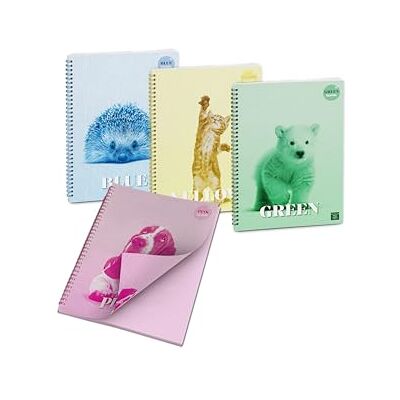 Pigna , Spiralat anteckningsblock med färgglada arkColorOUR INSIDE, f.to 10 x 15 cm, 50 ark, 80 g/m², rutiga ark 5 mm, blandade färger, 4-pack (4 ämnen i förpackningen) Pigna , Spiralat anteckningsblock med färgglada arkColorOUR INSIDE, f.to 10 x 15 cm, 50 ark, 80 g/m², rutiga ark 5 mm, blandade färger, 4-pack (4 ämnen i förpackningen)
