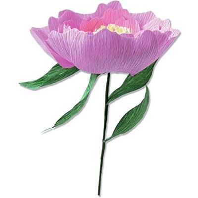 Sizzix Thinlits Die Set 5PK Wild Peony av Lisa Jones, 664926, flerfärgad, en storlek Sizzix Thinlits Die Set 5PK Wild Peony av Lisa Jones, 664926, flerfärgad, en storlek