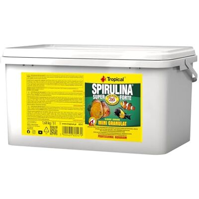 Tropical Super Spirulina Forte minigranulatfoder med 36% Spirulina (platensia) innehåll, 1 förpackning (1 x 3 l) Tropical Super Spirulina Forte minigranulatfoder med 36% Spirulina (platensia) innehåll, 1 förpackning (1 x 3 l)
