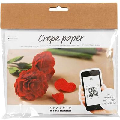 Creativ Company Mini Craft Set crêpe papper blommor rosor – för hantverk vackra crêpeblommor Creativ Company Mini Craft Set crêpe papper blommor rosor – för hantverk vackra crêpeblommor