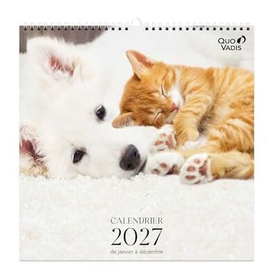 QUO VADIS Foliekalender Spiralé 2027 fransk fantasi djur 12 månader från januari till december 30 x 30 cm vitt Clairefontaine papper fransk tillverkning QUO VADIS Foliekalender Spiralé 2027 fransk fantasi djur 12 månader från januari till december 30 x 30 cm vitt Clairefontaine papper fransk tillverkning