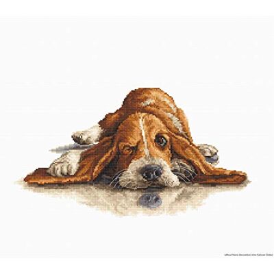LUCAS Bassett Hound korsstygnssats LUCAS Bassett Hound korsstygnssats