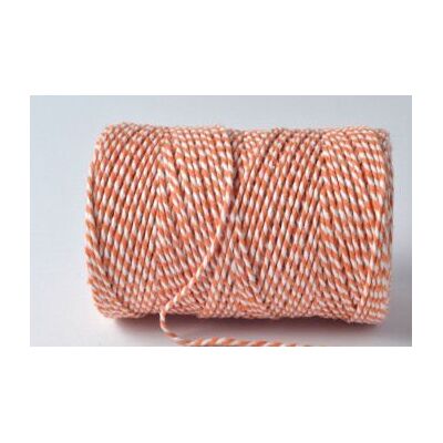 EVERLASTO 100 m – Original 'Beautiful Bakers Twine' (2 mm ungefär) (Tangerine) EVERLASTO 100 m – Original 'Beautiful Bakers Twine' (2 mm ungefär) (Tangerine)