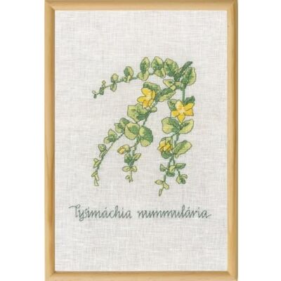 Permin korsstygn broderiförpackning Lysimachia räkningsmönster Permin korsstygn broderiförpackning Lysimachia räkningsmönster