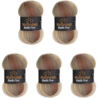 Wollbiene 5 x 100 g ullbi batik fin 500 gram ull med färggradient flerfärgad stickad ull virkull (5020 brun beige) Wollbiene 5 x 100 g ullbi batik fin 500 gram ull med färggradient flerfärgad stickad ull virkull (5020 brun beige)