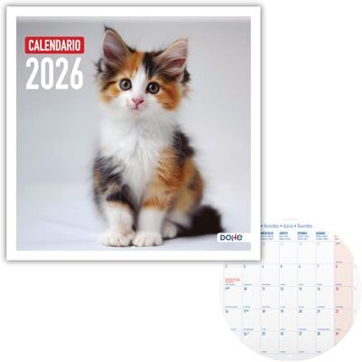 DOHE Väggkalender 2026-12 månader januari till december, månadsvy, 30 x 30 cm, spanskt språk, häftbindning, utrymme för anteckningar, årsplanering, tjockt papper 120 gr/m² katter DOHE Väggkalender 2026-12 månader januari till december, månadsvy, 30 x 30 cm, spanskt språk, häftbindning, utrymme för anteckningar, årsplanering, tjockt papper 120 gr/m² katter