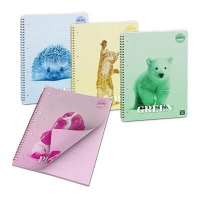 Pigna , Spiralat anteckningsblock med färgglada arkColorColor, f.to 21 x 29,7 cm, 50 ark, 80 g/m², randiga ark, 4-pack (4 ämnen i förpackningen) Pigna , Spiralat anteckningsblock med färgglada arkColorColor, f.to 21 x 29,7 cm, 50 ark, 80 g/m², randiga ark, 4-pack (4 ämnen i förpackningen)