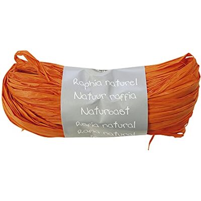 Clairefontaine 196058Cpack Un lot de 8 Pelotes Raphia Orange Ensemble de plusieurs fils de Raphia Longueur 1m50 par fil- 50g Loisirs Créatifs Emballage Cadeau DIY Multiples Clairefontaine 196058Cpack Un lot de 8 Pelotes Raphia Orange Ensemble de plusieurs fils de Raphia Longueur 1m50 par fil- 50g Loisirs Créatifs Emballage Cadeau DIY Multiples