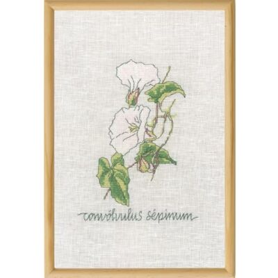 Permin korsstygn broderiförpackning Calystegia räkningsmönster Permin korsstygn broderiförpackning Calystegia räkningsmönster