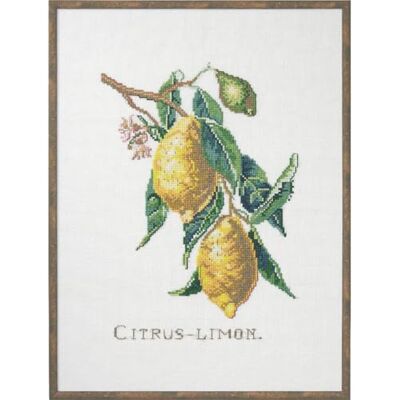 Permin Eva Rosenstativ korsstygn set citruscitron räkningsmönster Permin Eva Rosenstativ korsstygn set citruscitron räkningsmönster