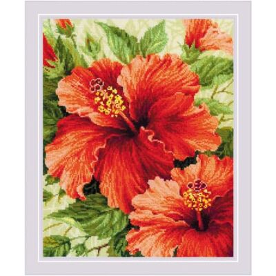 Riolis Counted Cross Stitch Kit 15,75 "X19,75"-hibiskus (10 räkna) Riolis Counted Cross Stitch Kit 15,75 "X19,75"-hibiskus (10 räkna)