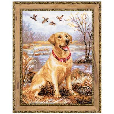 Riolis korsstygnsset labrador, bomull, flerfärgad, 30 x 40 x 0,1 cm Riolis korsstygnsset labrador, bomull, flerfärgad, 30 x 40 x 0,1 cm