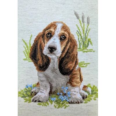 Riolis Basset Hound Puppy Korsstygnssats, Bomull, Flerfärgad, 26 x 38 x 0,1 cm Riolis Basset Hound Puppy Korsstygnssats, Bomull, Flerfärgad, 26 x 38 x 0,1 cm