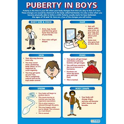 Daydream Education Puberty in Boys PSHE affischer laminerat glansigt papper som mäter 850 mm x 594 mm (A1) PSE klassrumsaffischer utbildningstabell av Daydream Education Puberty in Boys PSHE affischer laminerat glansigt papper som mäter 850 mm x 594 mm (A1) PSE klassrumsaffischer utbildningstabell av