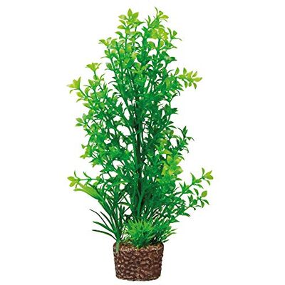 Hobby 51535 Flora sten 6 Hobby 51535 Flora sten 6