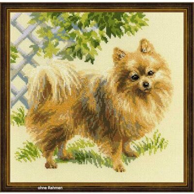 Riolis Pomeranian korsstygnssats, bomull, flera färger, 25 x 25 x 0,1 cm Riolis Pomeranian korsstygnssats, bomull, flera färger, 25 x 25 x 0,1 cm