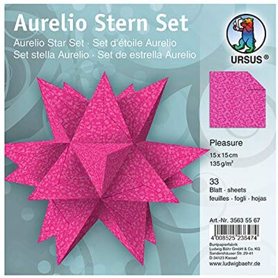 Ursus 35635567 – blad Aurelio Stern Pleasure, 33 ark kreativt papper 15 x 15 cm, 135 g/kvm, tryck på båda sidorna, vackra pappersnäsor för julen, eosin Ursus 35635567 – blad Aurelio Stern Pleasure, 33 ark kreativt papper 15 x 15 cm, 135 g/kvm, tryck på båda sidorna, vackra pappersnäsor för julen, eosin
