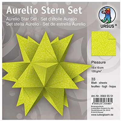 Ursus 35635551 – blad Aurelio Stern Pleasure, 33 ark kreativt papper 15 x 15 cm, 135 g/kvm, tryck på båda sidorna, vackra pappersnäsor för julen, ljusgrön Ursus 35635551 – blad Aurelio Stern Pleasure, 33 ark kreativt papper 15 x 15 cm, 135 g/kvm, tryck på båda sidorna, vackra pappersnäsor för julen, ljusgrön
