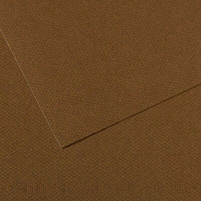 Canson Blad 55x75 (25) Mi-Teintes 60% Bee 160g (501) Canson Blad 55x75 (25) Mi-Teintes 60% Bee 160g (501)