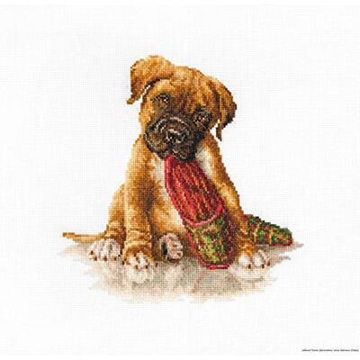 LUCAS Luca-S B2338 boxerkorsset, bomull, flerfärgad, 18 x 17,5 cm LUCAS Luca-S B2338 boxerkorsset, bomull, flerfärgad, 18 x 17,5 cm