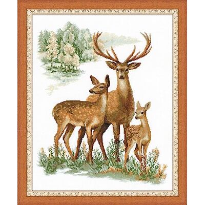 Riolis Korsstingssats - Familj - 40x50cm Riolis Korsstingssats - Familj - 40x50cm