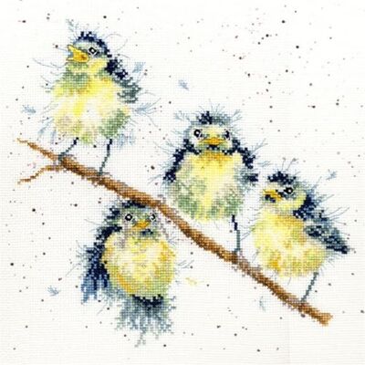 Bothy Threads Sweet Tweet korsstygnskit Bothy Threads Sweet Tweet korsstygnskit