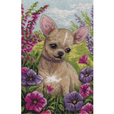 PANNA Korsstygnssats Chihuahua 16x26 cm PANNA Korsstygnssats Chihuahua 16x26 cm
