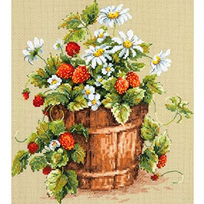 Magic Needle 55-12 ZW sommarsmak, korsstygnsset med räkningsmönster tvågart Edition, bomull, flerfärgad, 24 x 26 cm Magic Needle 55-12 ZW sommarsmak, korsstygnsset med räkningsmönster tvågart Edition, bomull, flerfärgad, 24 x 26 cm